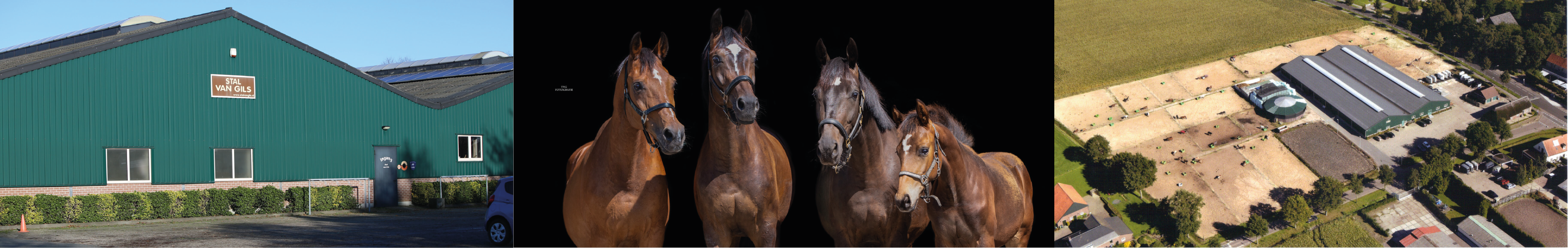 Foto voor deze pagina.